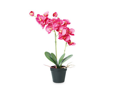 Artificial Orchids