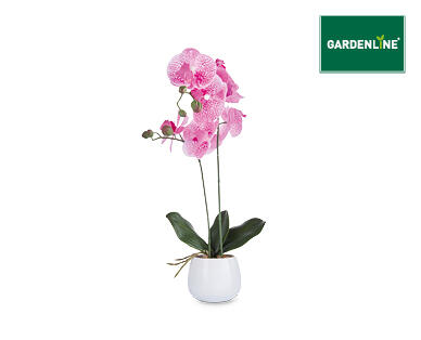 Artificial Plants in Decorative Pots