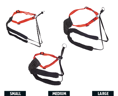 Dog Harness
