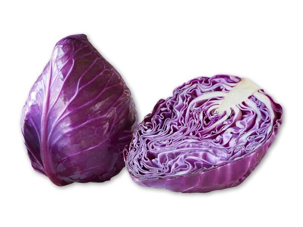 Dansk rød spidskål