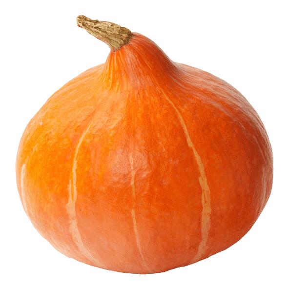 Biokürbis