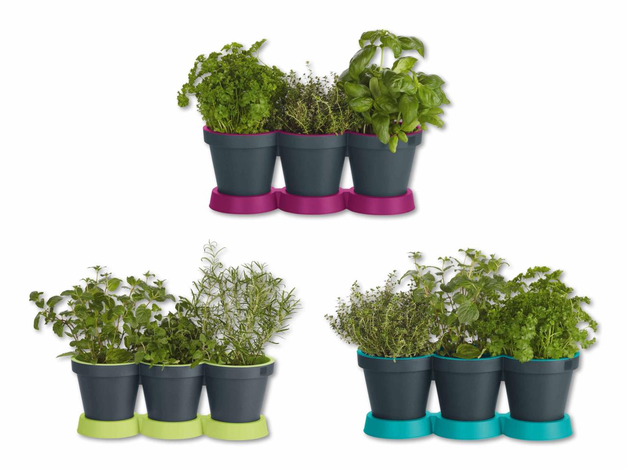 Pot à herbes aromatiques, 3 pièces
