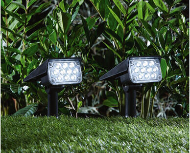 Solar Garden Lights