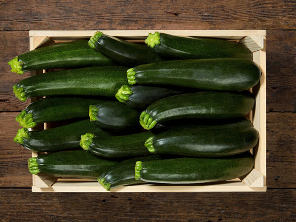 Zucchine bio