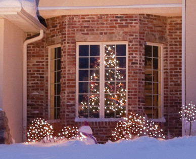 Huntington Home LED Net Lights