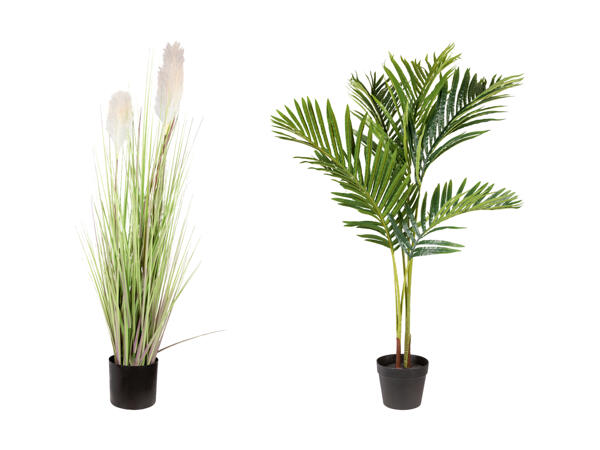 LIVARNO HOME(R) Kunstig plante