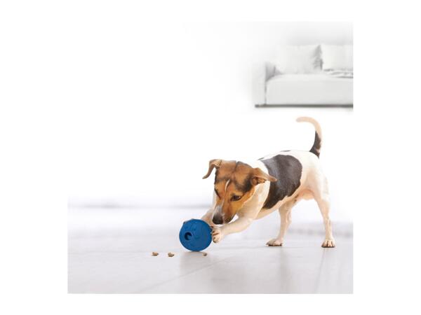 Zoofari Pet Accessories