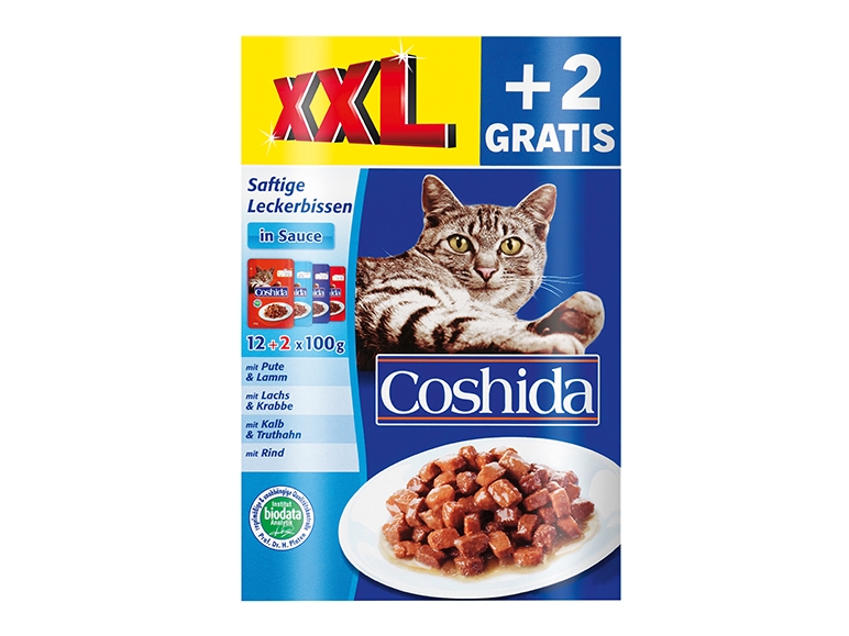 Kattenvoeding