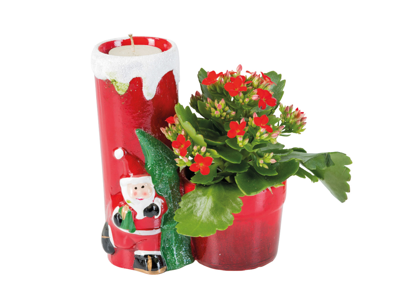 Father Christmas Planter1