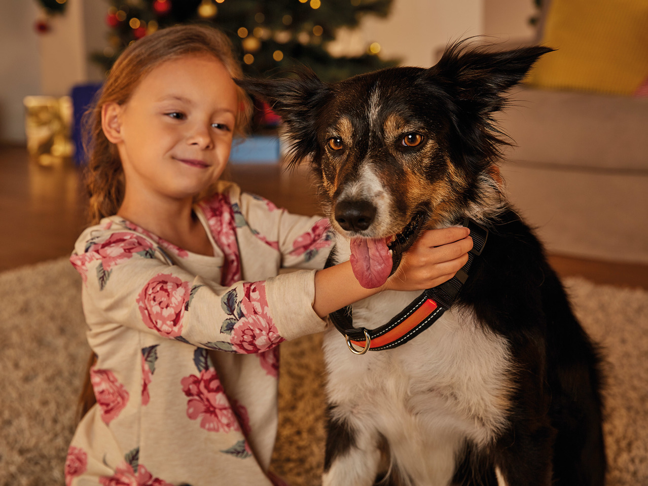 Zoofari LED Collar or Glow Band1