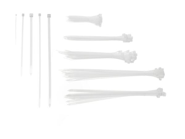 Parkside Cable Tie Set - 251 Piece Set