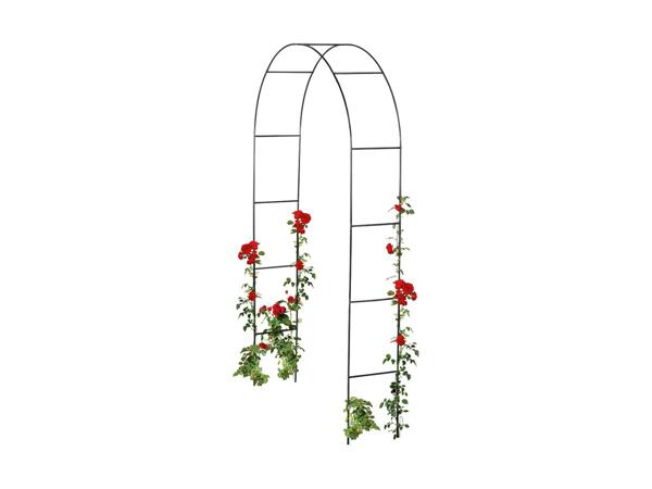 LIVARNO HOME(R) Rosenbue eller espalier