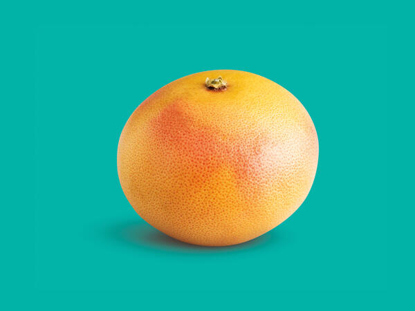 Grapefruit