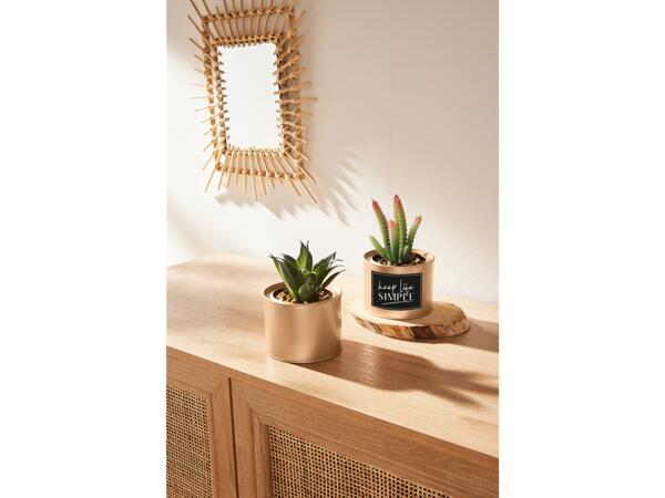 Artificial Plant Set