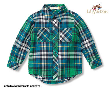 Button Up Shirt or Tunic