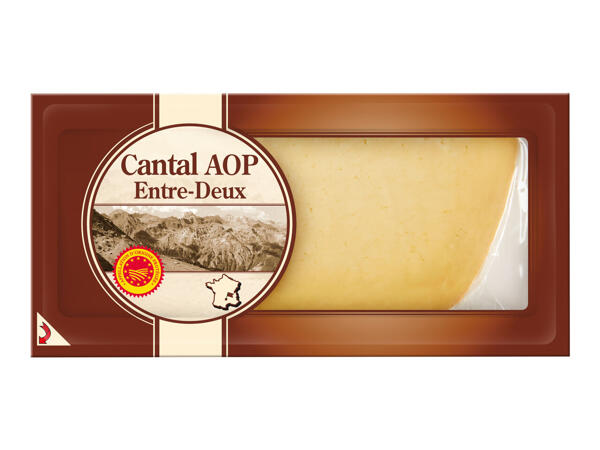 Cantal AOP Cheese
