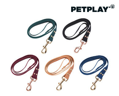 Dog Lead and Collar Assortment