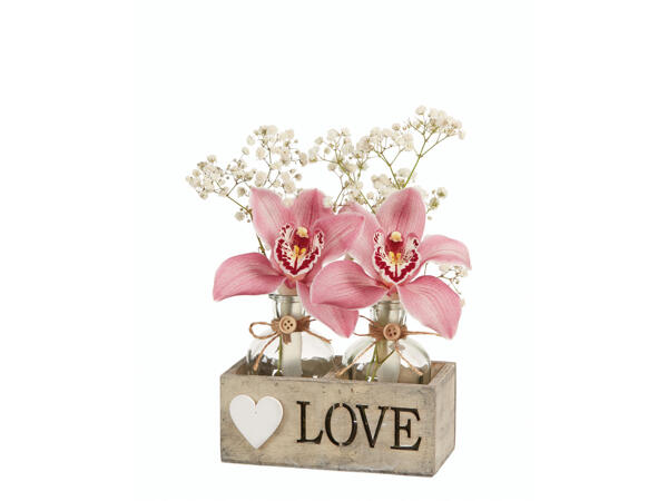 Cymbidium Couple