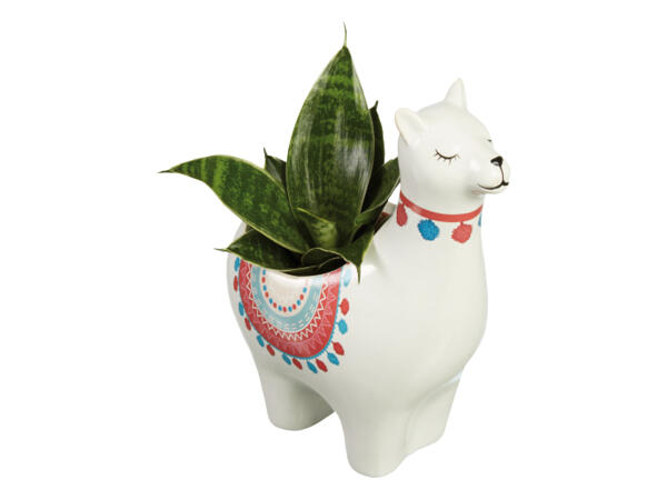 Plant in Alpaca Ceramic