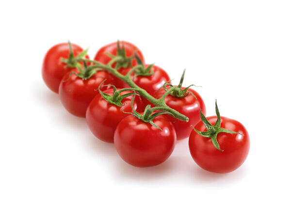 Tomates cerises en grappe
