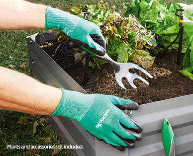 Assorted Garden Gloves