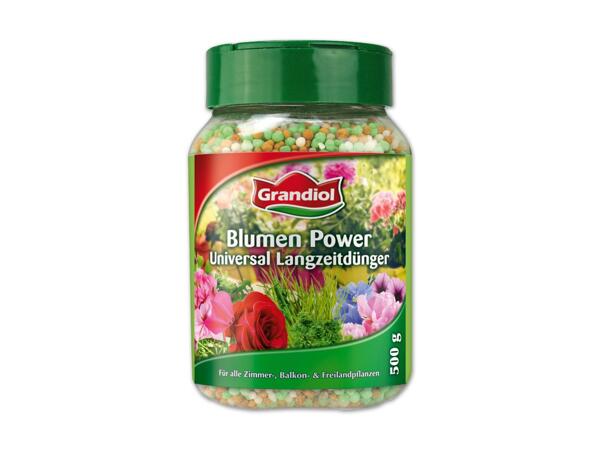 Blumenpower