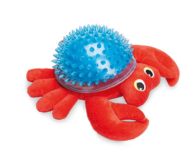 Assorted Dog Toys