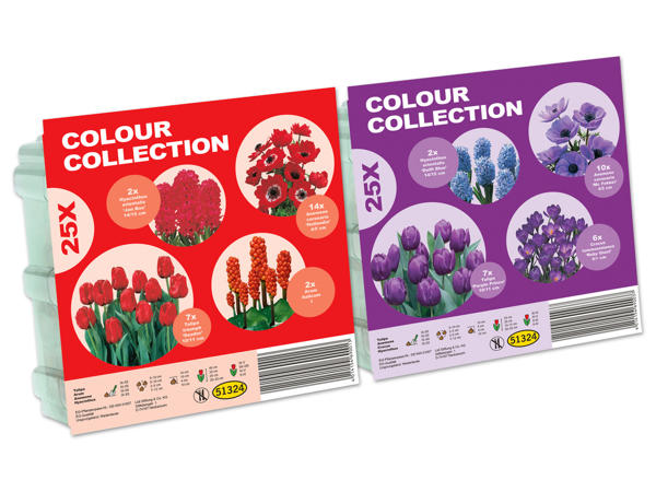 Blumenzwiebel Kollektion