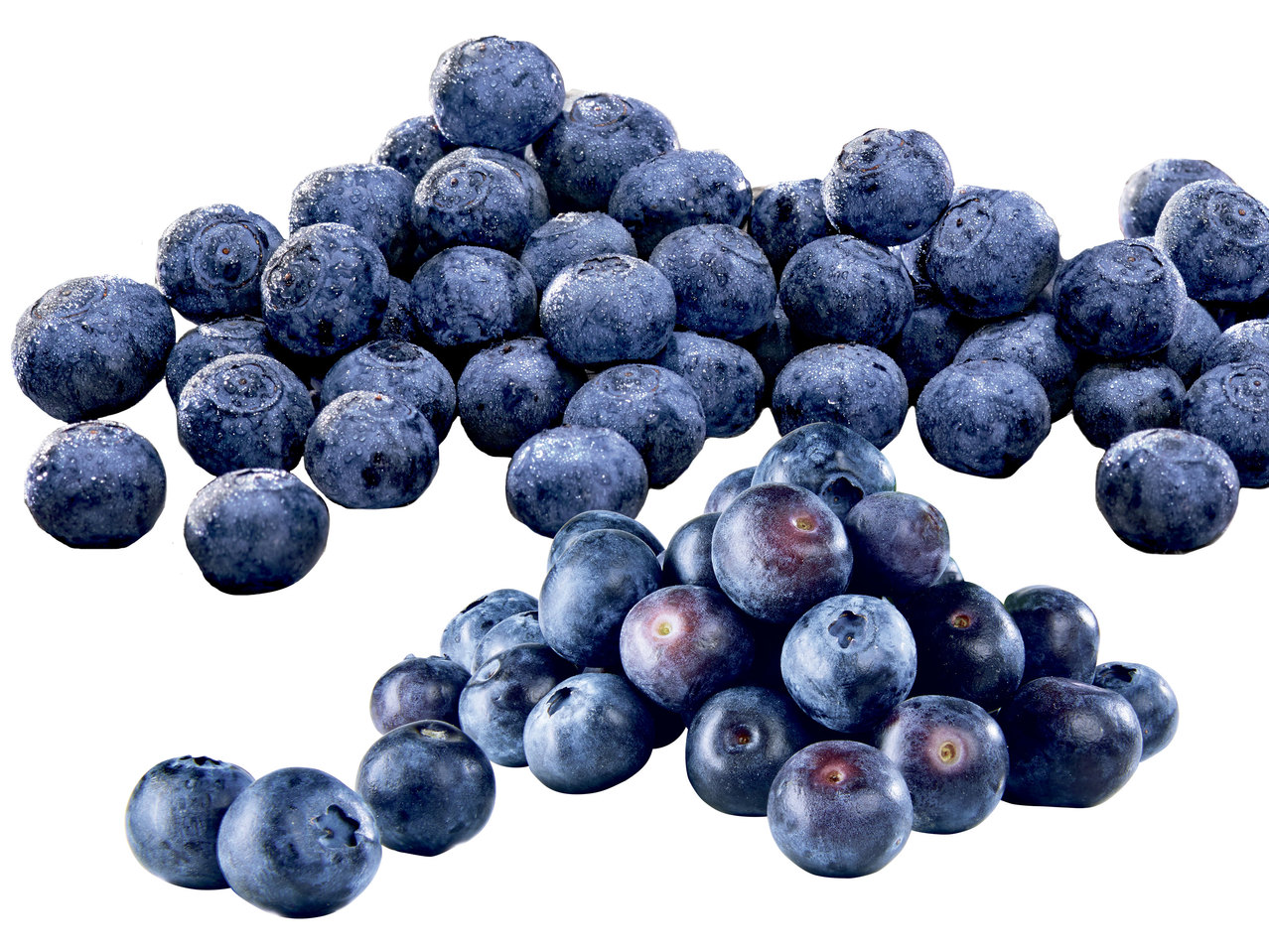 Heidelbeeren
