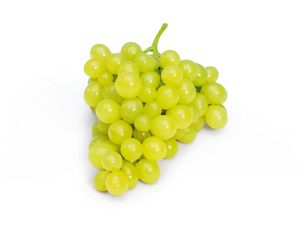 Seedless white grape