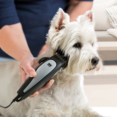 Tondeuse pour chiens