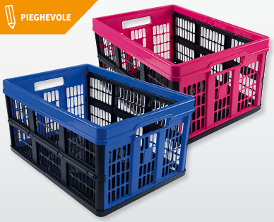Cassetta pieghevole, 45 l EASY HOME(R)