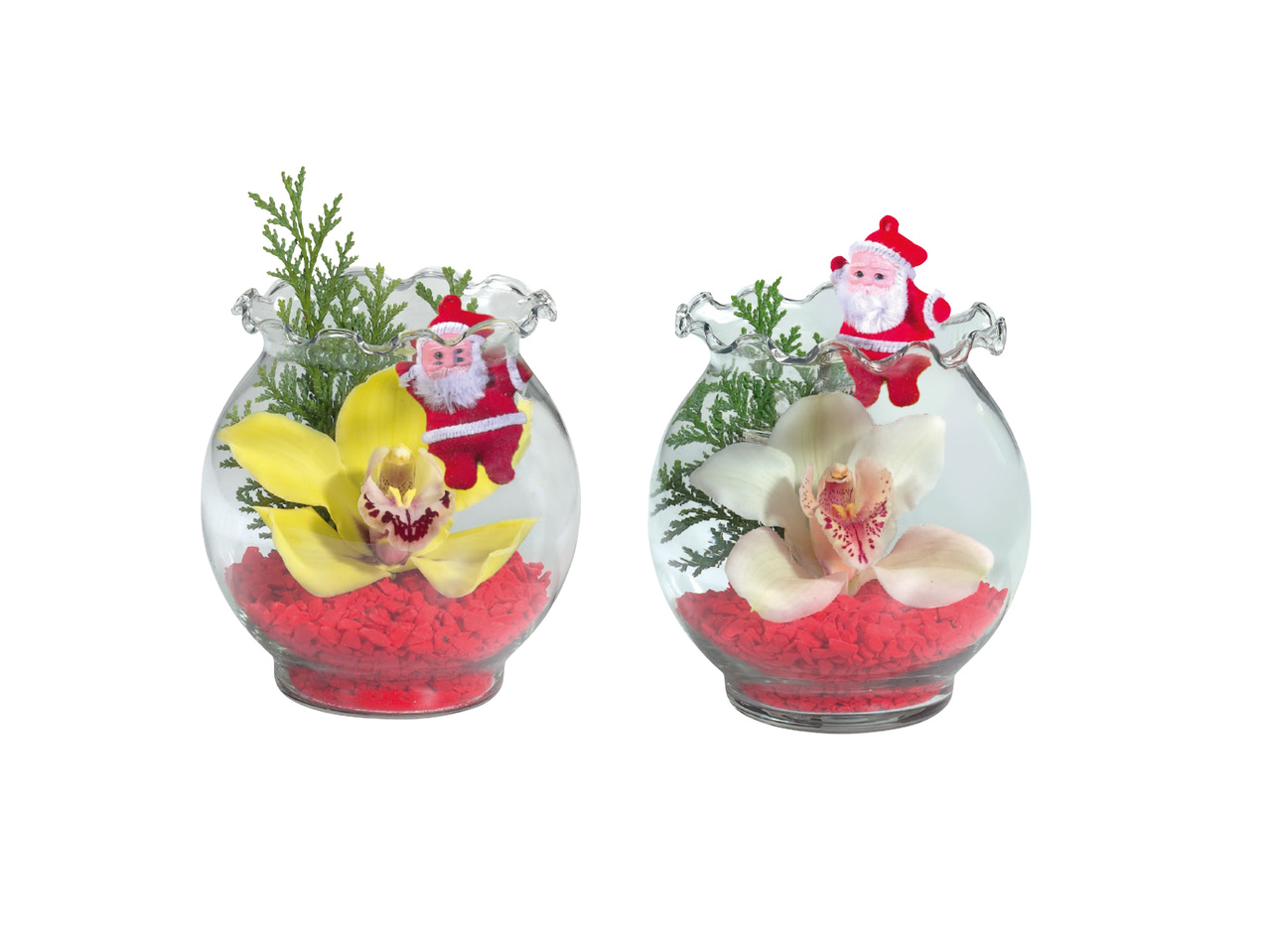 ORKIDÉBLOMMA I GLAS