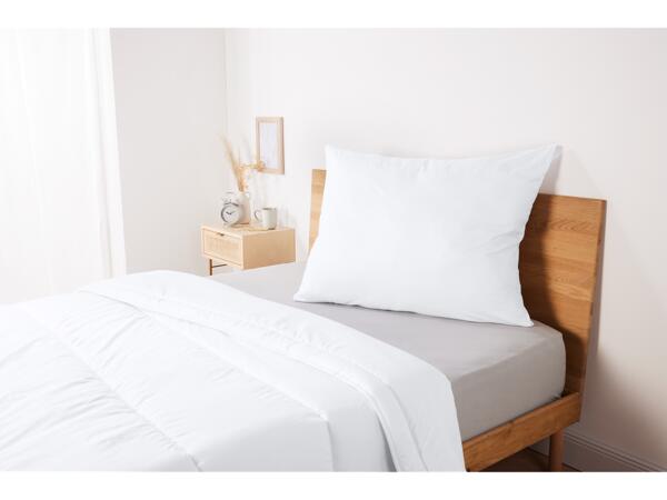 Anti-Mite Pillow