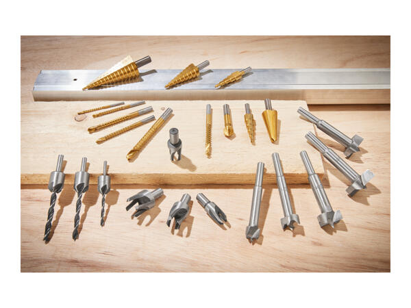 Parkside Specialised Bit Assortment