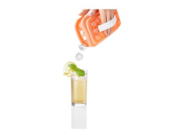 Ernesto Ice Cube Mould