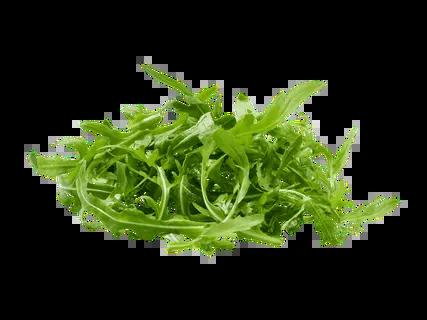 Roquette suisses bio