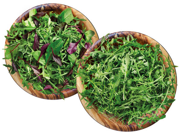Mix-Salat oder Rucola