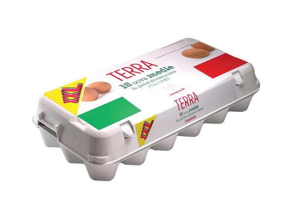 18 Medium Barn Eggs
