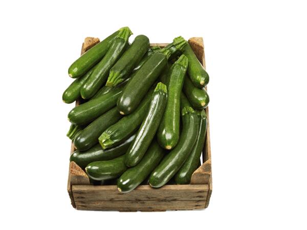 Zucchini