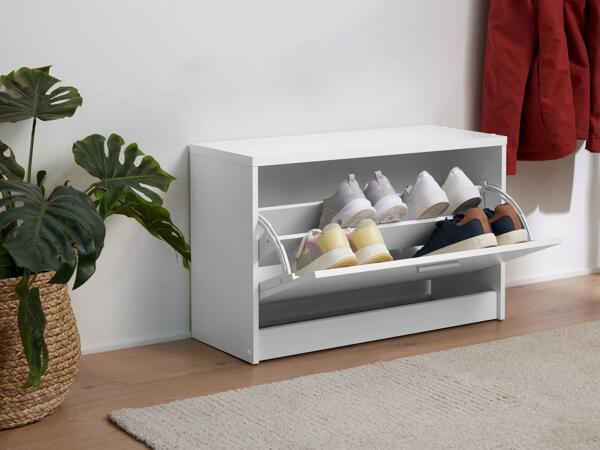 Shoe storage cabinet
