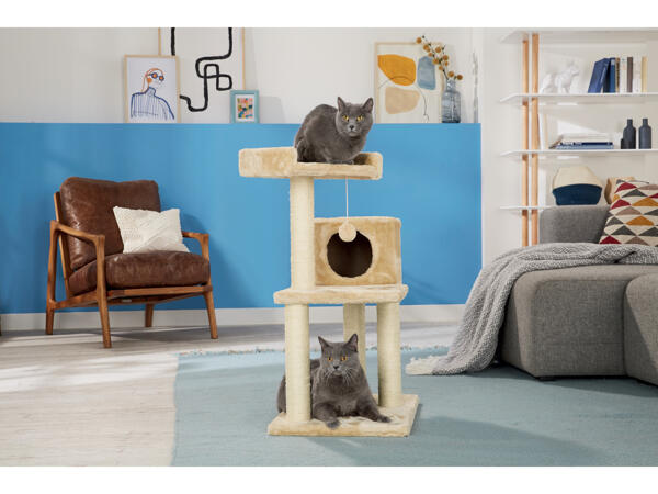 Cat Scratching Post