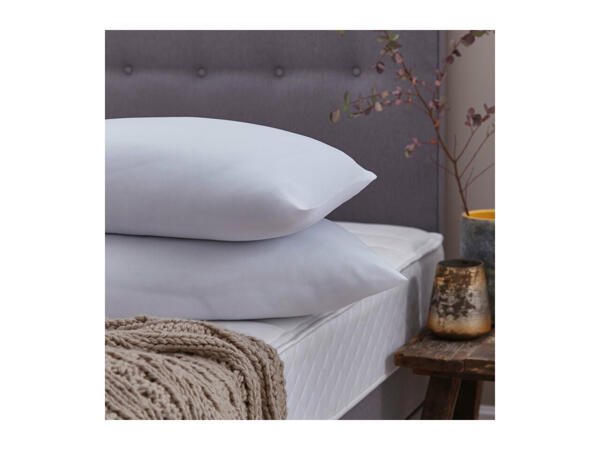 Silentnight Winter Nights Hollowfibre Pillow Pair