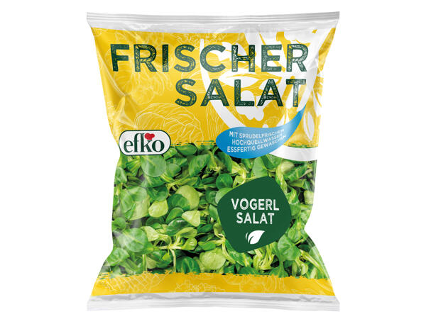 Efko Vogerlsalat