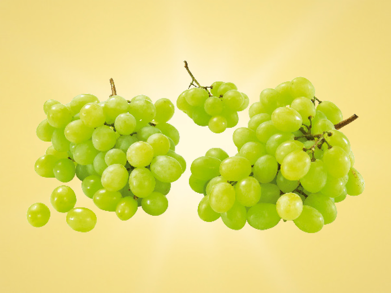 Raisin blanc sans pépins