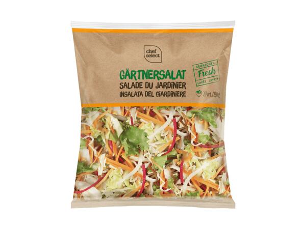 Salade du jardinier