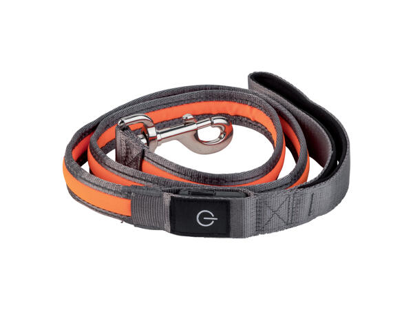 LED Light-Up Dog Lead or Harness