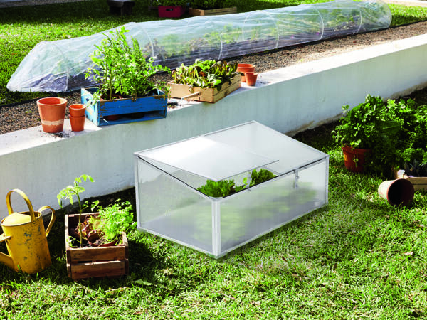 Cold Frame