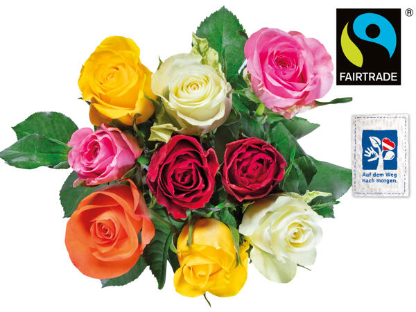 Fairtrade Rosen