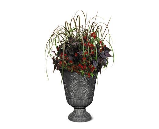 Belavi 
 Urn Planter
